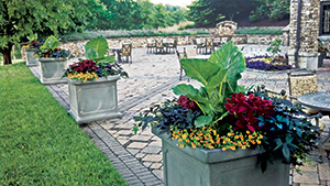 Placing plants within decorative containers is one way to dress up an area easily. Use of annual plants is also a simple way to spruce up spaces around the course.