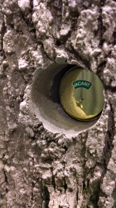 IMG_20140206_155426879_HDR Photo: Golfdom Staff