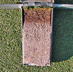 The darker brown area in the top 1 to 1.5 inches of the profile is the area where excessivie organic matter can accumulate and hinder gas (especially oxygen) exchange between the atmosphere and soil environments. To maintain ample gas exchange, this zone must have sufficient macropores (pore with diameters >0.075 mm). Macropores also are the means for rapid infiltration of excess water into the soil during rains. Photo: Rich Kalik