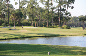 Screen shot 2014-03-24 at 1.27.37 PM Photo: Golfdom Staff