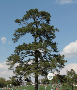 Screen shot 2014-04-16 at 11.38.22 AM