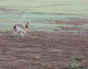 Screen shot 2014-06-02 at 6.59.57 PM