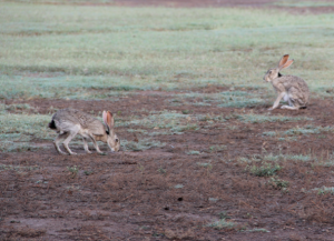 Screen shot 2014-06-02 at 7.00.08 PM