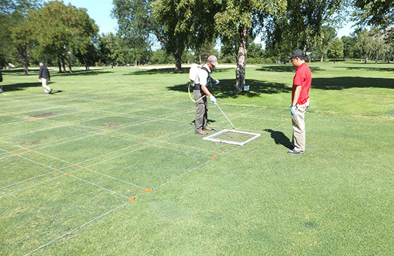 Photo by Clark Throssell, Ph.D.