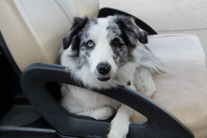 Screen shot 2014-11-25 at 12.34.57 PM