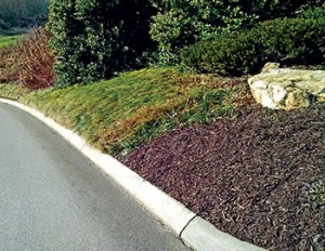 Rather than mulch the entire hillside along the right of this cart path, the use of liriope groundcover significantly reduces the amount of yearly mulch application. The double-ground mulch in the foreground stays in place well on the slope.