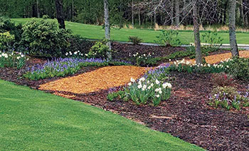 Use different colored mulches  to create a striking visual display on a footpath between holes.