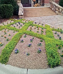 Premium cottonseed hull mulch combined with sedum groundcover accentuates annual plantings at the clubhouse entrance. 