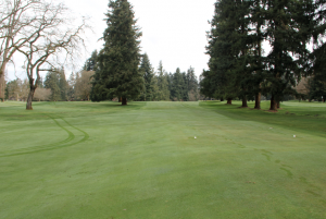 See the difference between the cut in the tee and the tee surround? Us neither. Kachmarek says it's saved them time and money. Photo by Seth Jones