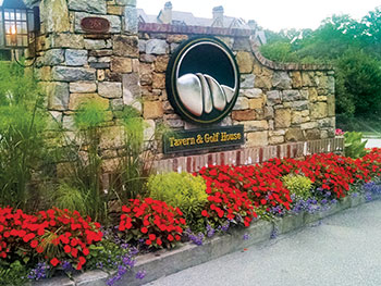 Deer-resistant ornamentals (Papyrus, sun impatiens, Euphorbia and Fanflower) require little use of repellents, but should be monitored closely for any signs of interest from deer, such as hoof prints nearby or nibbled flowers.