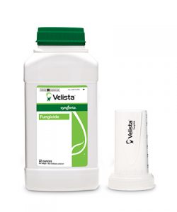 Velista_syngenta