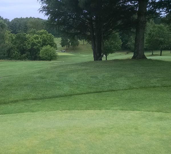 prince_william_course