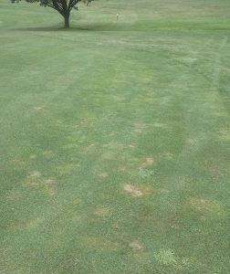 prince_william_course_challenges