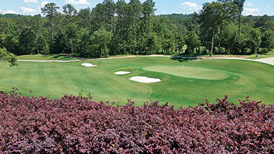 Johnson says Inverness CC, Birmingham, Ala., was a good fit for him. “They have a nice budget and great resources,” he says. “I knew I could succeed here and build a great product”