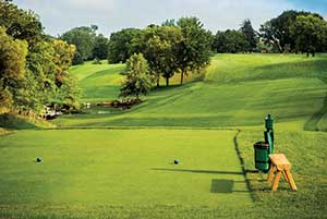 Tee box