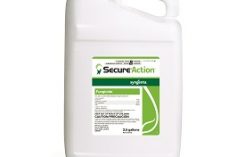 Secure Action Fungicide. (Photo: Syngenta)