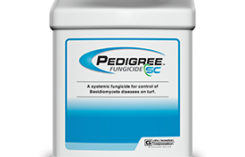 Pedigree Fungicide SC 2.5 gallon jug (Photo: PBI-Gordon)