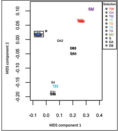Multidimensional scaling plot (Photo: Eric Reasor)