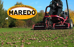 Photo: Maredo