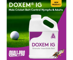 Photo: Quali-Pro