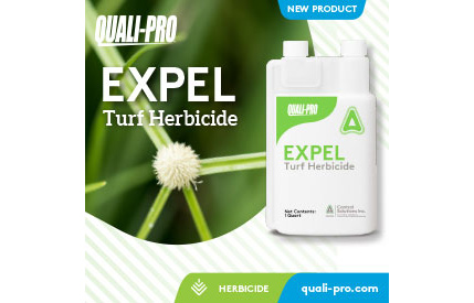 Photo: Quali-Pro