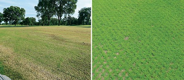 A successful grow in comes down to a healthy dose of preparation, ensuring the necessary supplies are on hand and, of course, Mother Nature. (Photos: Turfco)