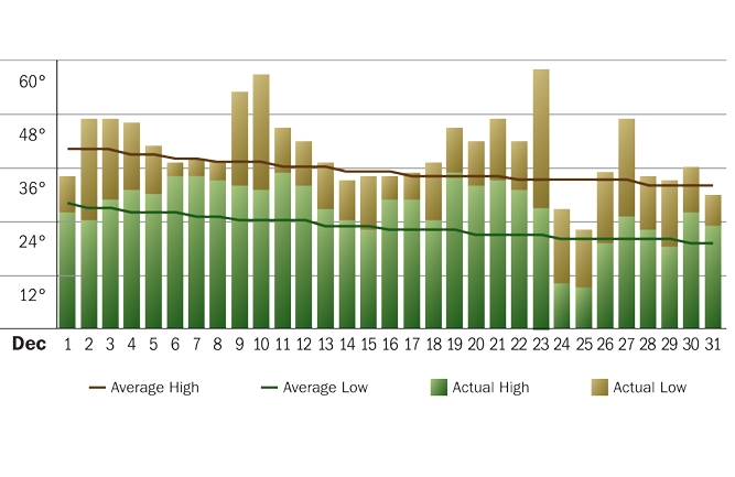 Chicago’s December 2020 temperatures were well above average, preventing turf hardening and making it more susceptible to snow mold. (Graph courtesy of Accuweather.com.)