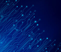 Photo: AF-studio / DigitalVision Vectors / Getty Images