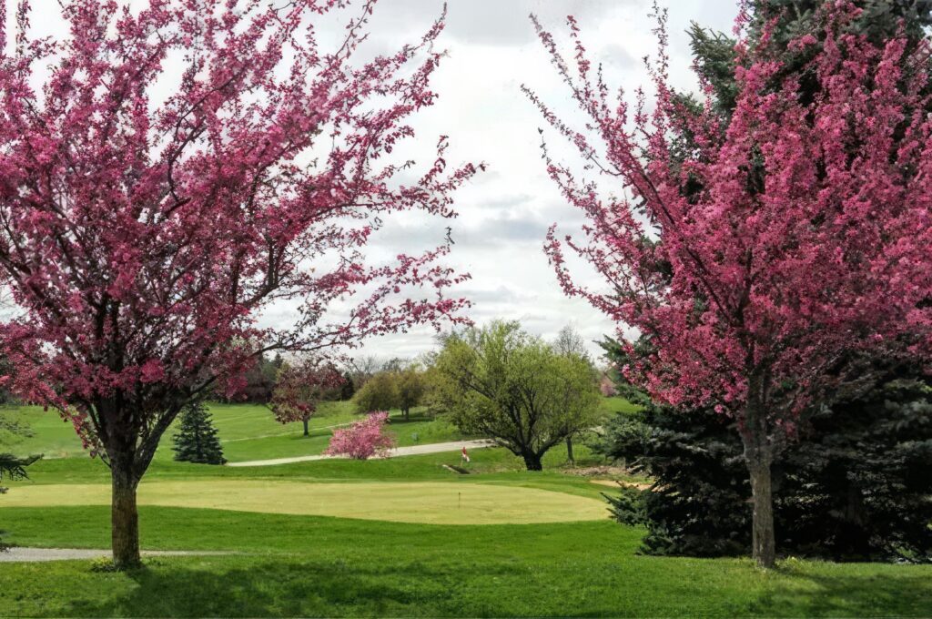 Photo: Landscapes Golf Management