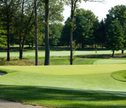 Photo: Tee-2-Green