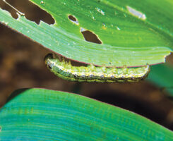 Photo: Lane Tredway, Ph.D