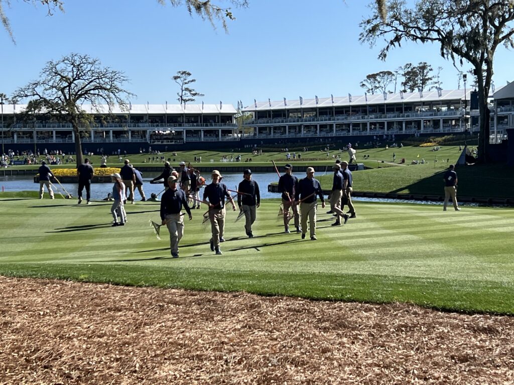 Photo: Agronomy Volunteers on Wednesday at Players Championship