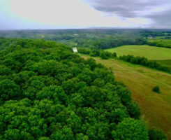 Photo: Landscapes Unlimited