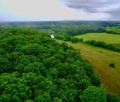 Photo: Landscapes Unlimited