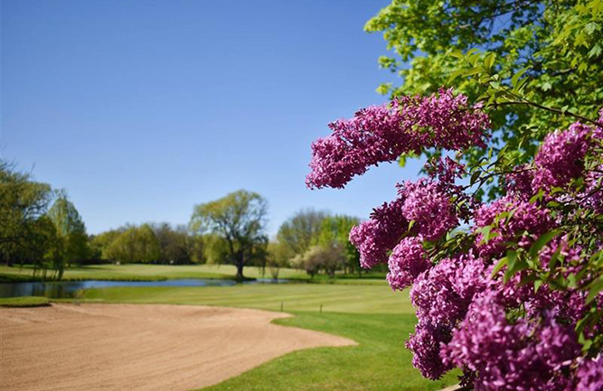 Lake Barrington Shores Golf Club (Photo: Landscapes Golf Management)