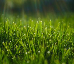 Photo: Vlad Antonov/ iStock / Getty Images Plus/ Getty Images