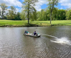 Photo: Atlantic Oase