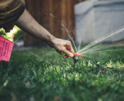 Photo: SiteOne Landscape Supply