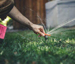 Photo: SiteOne Landscape Supply