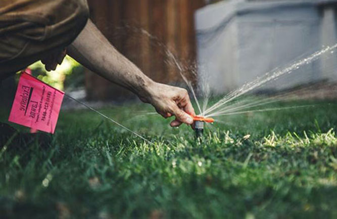 Photo: SiteOne Landscape Supply