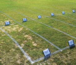 Figure 1. The snow mold pressure at Marquette GC in Marquette, Mich., wasn’t as high as it normally was, but it was still high enough to provide a solid test of the research treatments. (Photo by: Kurt Hockemeyer)