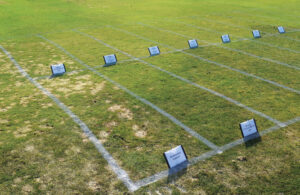 Figure 1. The snow mold pressure at Marquette GC in Marquette, Mich., wasn’t as high as it normally was, but it was still high enough to provide a solid test of the research treatments. (Photo by: Kurt Hockemeyer)