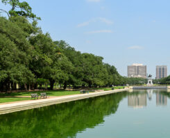 Photo: iStock / Getty Images Plus / Mathew Risley