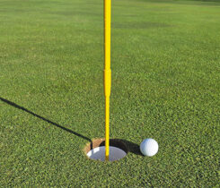 Photo: Par Aide Products Co.