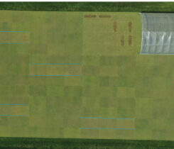 Photo 1. Penncross creeping bentgrass (outlined in blue) shows discoloration in response to lower nitrogen rates in evaluating 10 creeping bentgrass cultivars. (Photo by: Ohio State University)