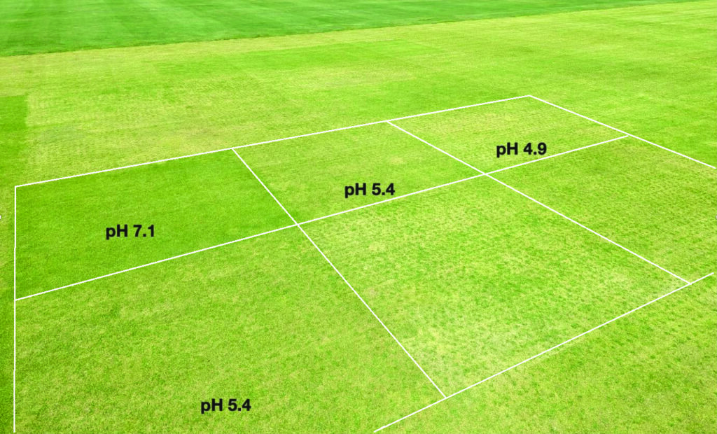 Photo 2. Visible differences in annual bluegrass turfgrass color on Sept. 4, 2024, for Project 2. Selected plots are labeled with the mat layer pH according to the June 2024 sampling. (Photo by: Rutgers University)