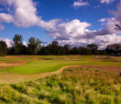 Photo courtesy of: Honma Sales Team