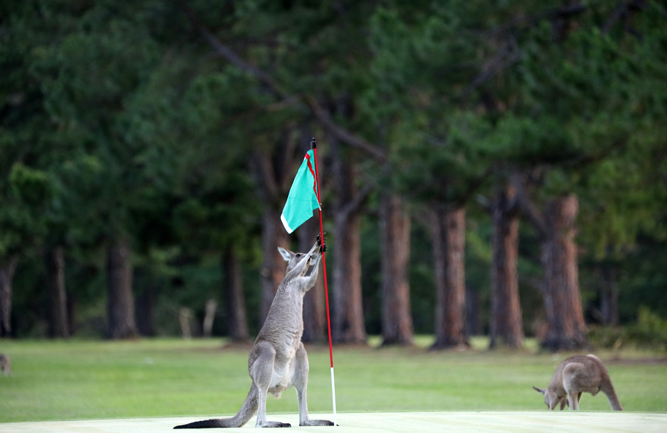 Photo: Andrea Geiss/ iStock / Getty Images Plus/ Getty Images