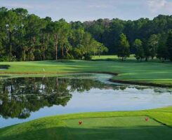 Disney Palm Course (Photo: GCSAA)