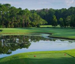 Disney Palm Course (Photo: GCSAA)